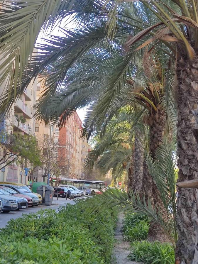 Casa De Mila Apartment Alicante Ngoại thất bức ảnh